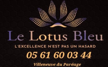 Carte de Visite L'Institut du Lotus Bleu