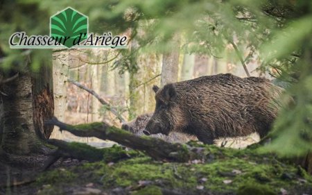 Association Communale de Chasse Agréé